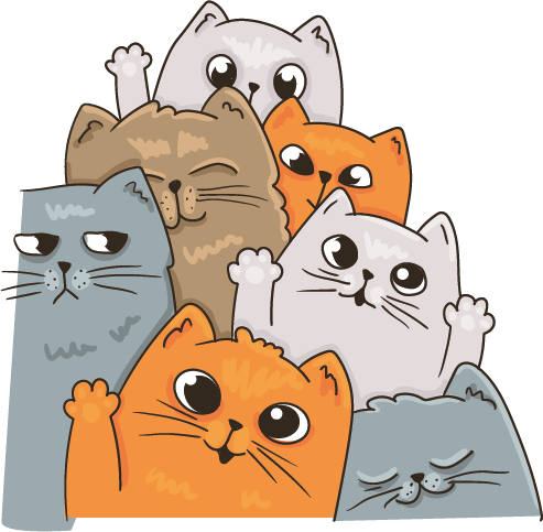 gatos