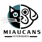 Miaucansveterinaris
